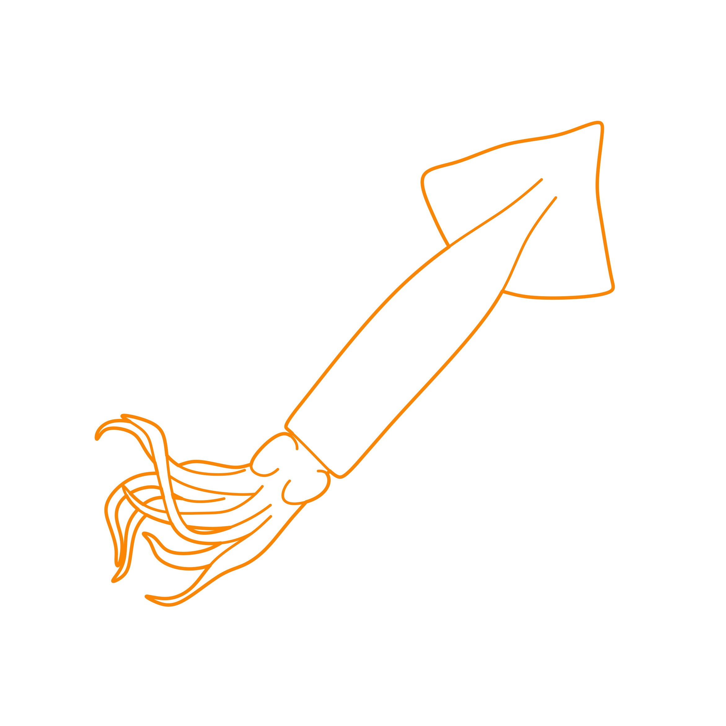 Animals Cephalopods Japanese Squid Contour Svg Vector Free Vectors